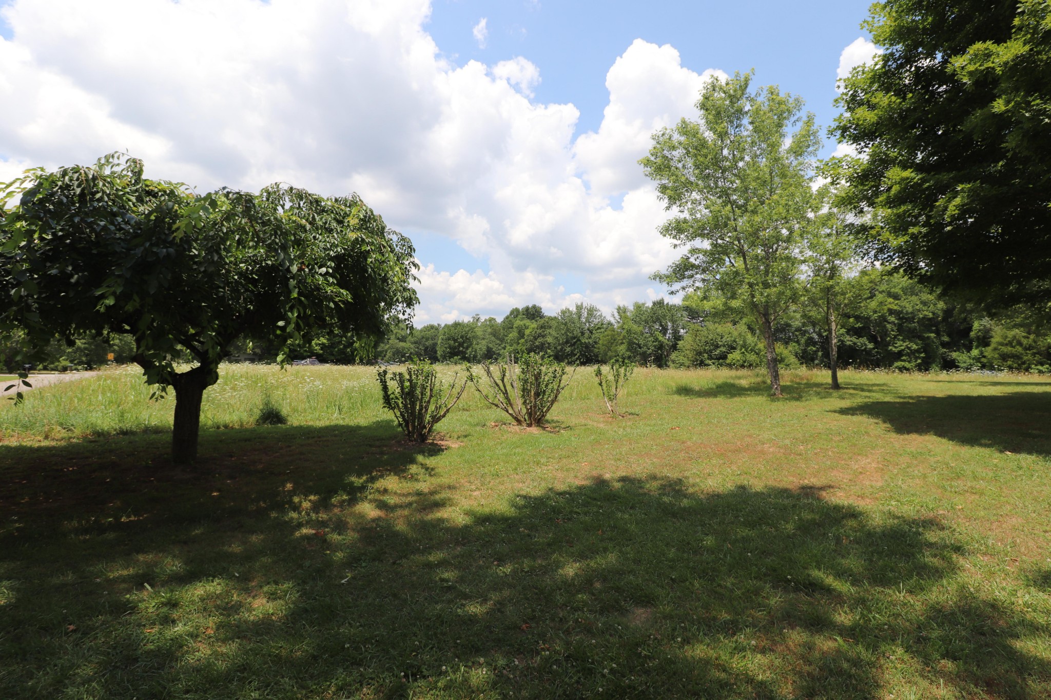 96 Cope Road Morrison, TN 37357 - Photo 3 of 19 a view of a lake with a yard