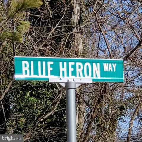 a street sign that is on a pole