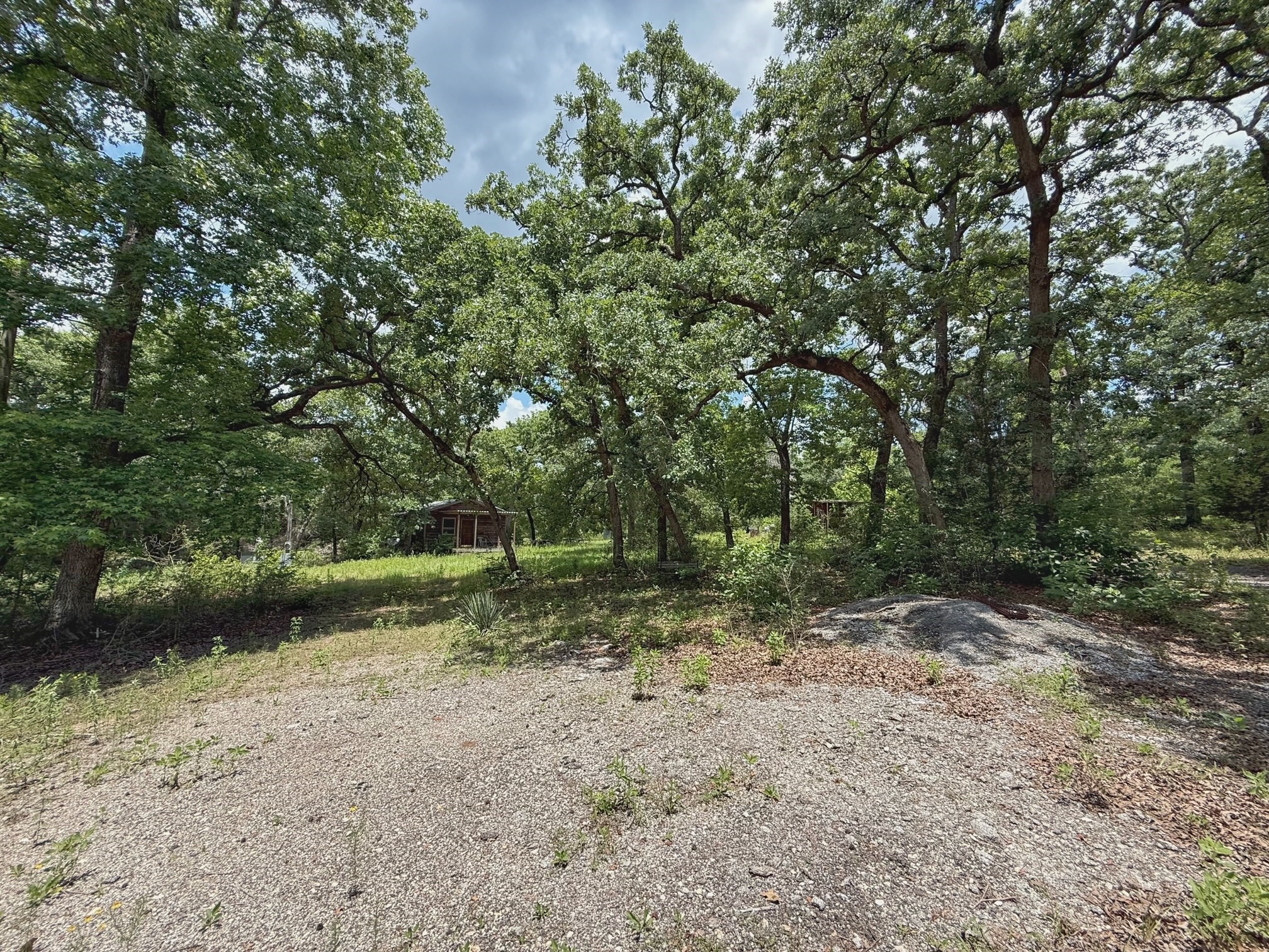 1491 County Road 1464 Centerville, TX 75833 - Photo 4 of 19 a view of a forest with trees