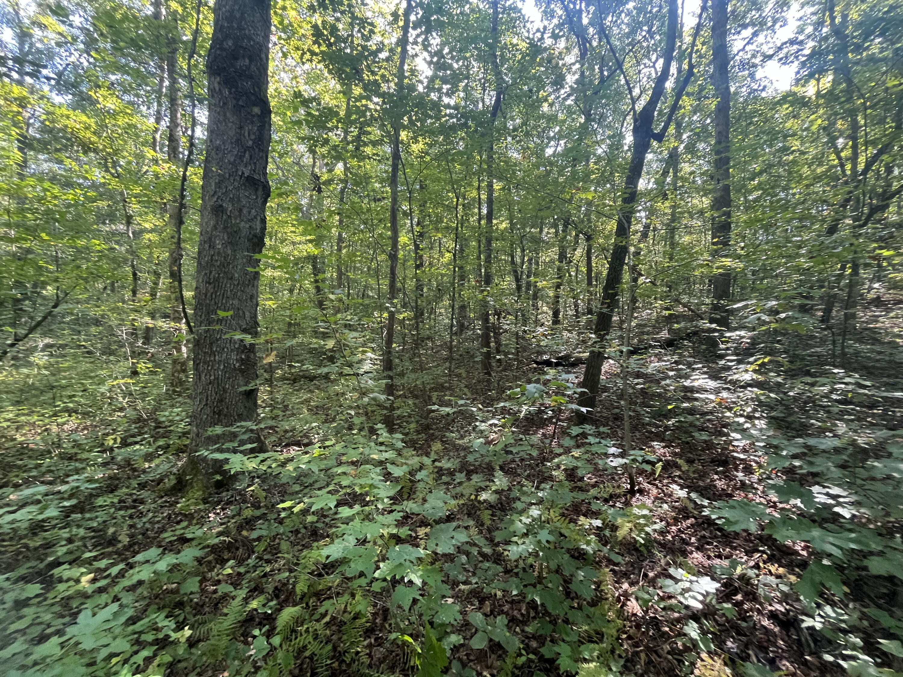 0 Grant Road Soddy Daisy, TN 37379 - Photo 23 of 37 Photo Sep 29 2023, 11 31 46 AM