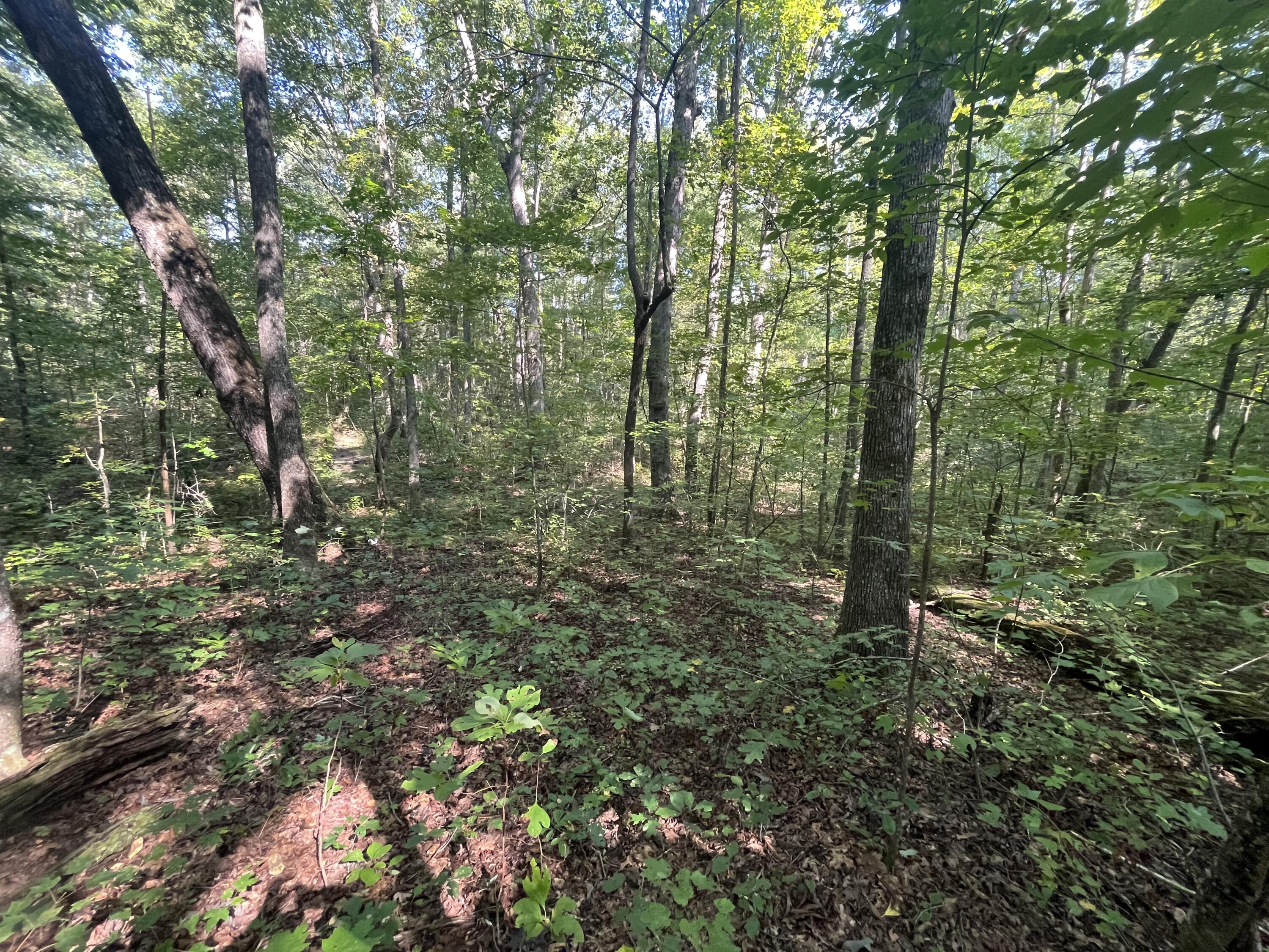 0 Grant Road Soddy Daisy, TN 37379 - Photo 25 of 37 Photo Sep 29 2023, 11 33 11 AM