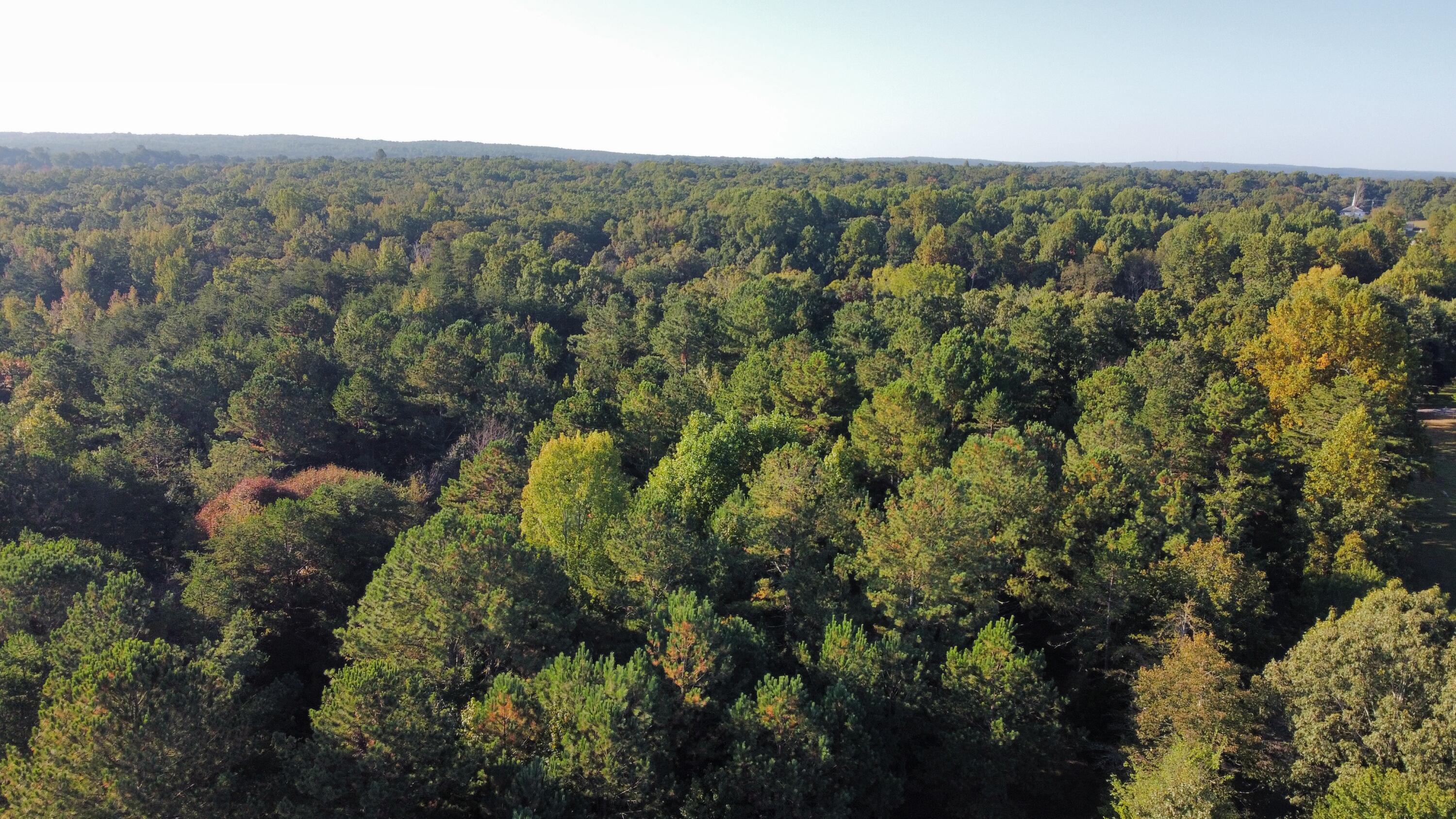 0 Grant Road Soddy Daisy, TN 37379 - Photo 34 of 37 dji_fly_20231002_091336_542_169625308026
