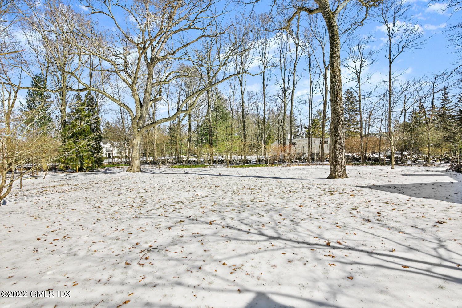 32 Peaceable Street Ridgefield, CT 06877 - Photo 34 of 38 a view of road with trees