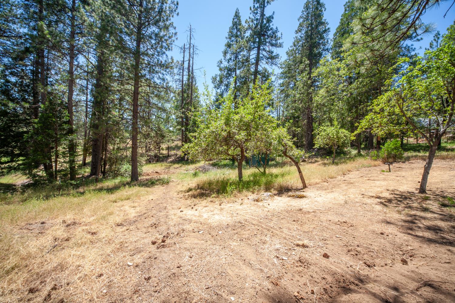 8370 Grizzly Flat Road Somerset, CA 95684 - Photo 8 of 29