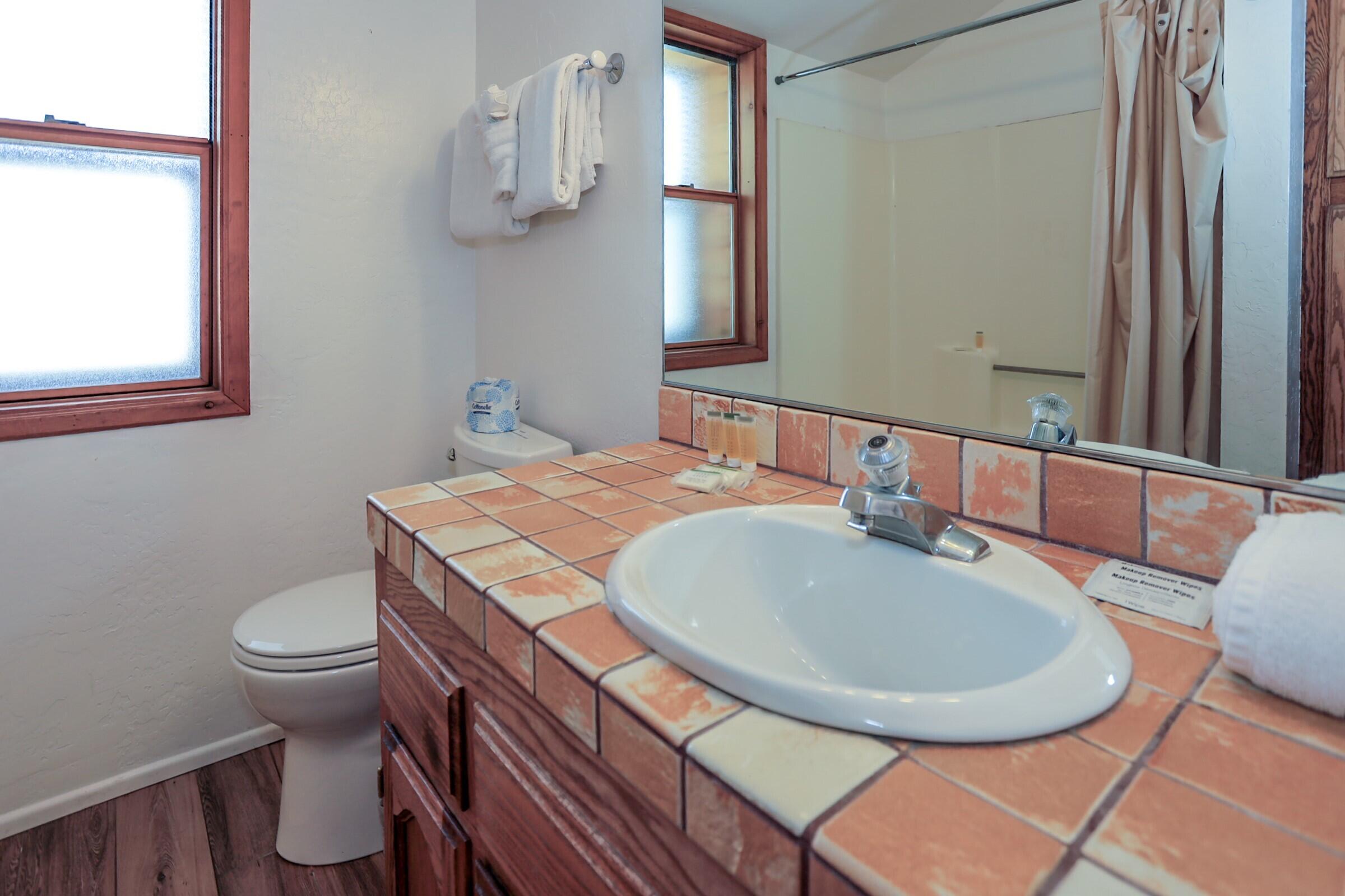 42638 Moonridge Road Big Bear Lake, CA 92315 - Photo 22 of 39 a bathroom with a sink a toilet and a mirror