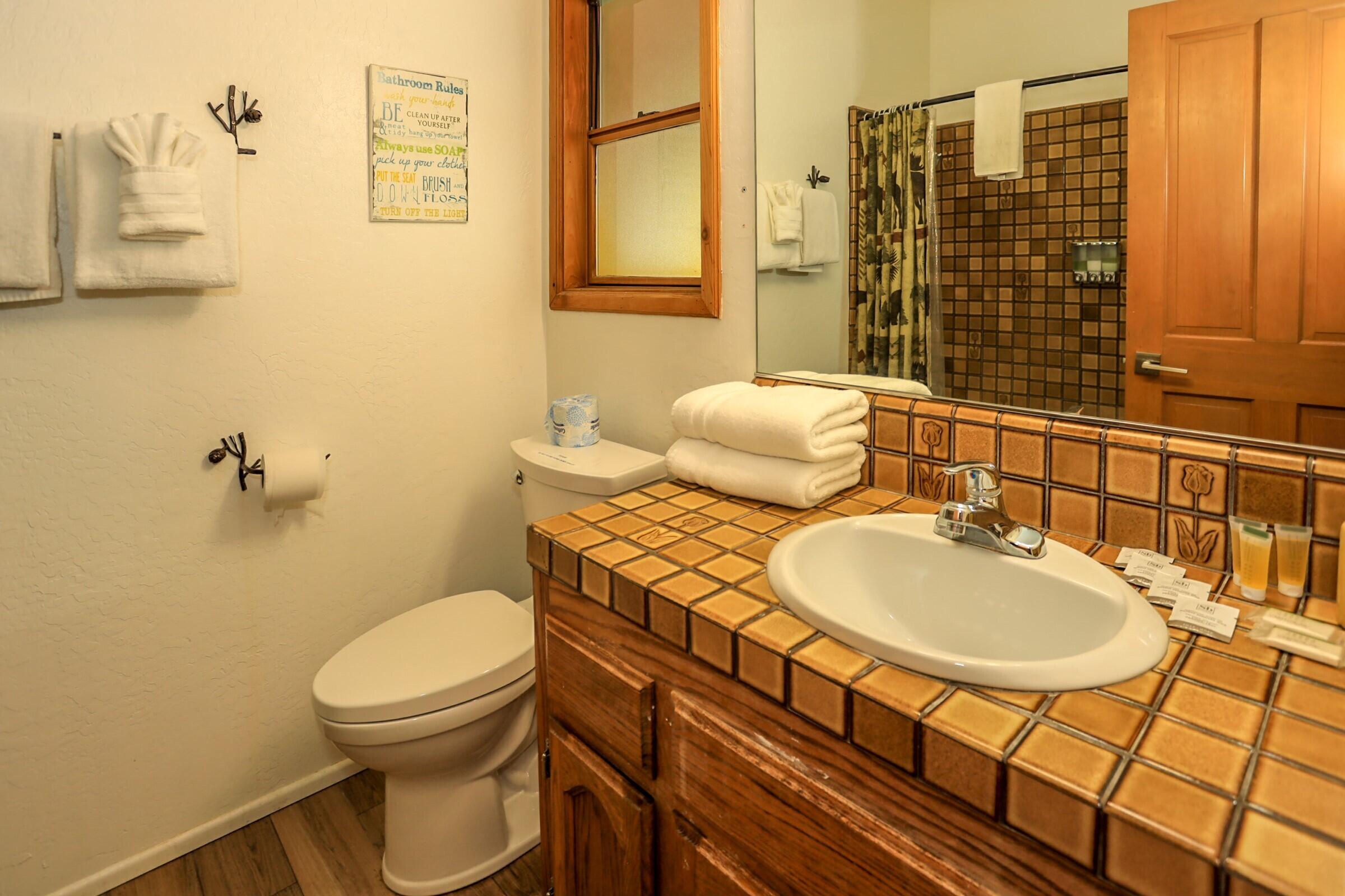 42638 Moonridge Road Big Bear Lake, CA 92315 - Photo 29 of 39 a bathroom with a sink a toilet and a mirror