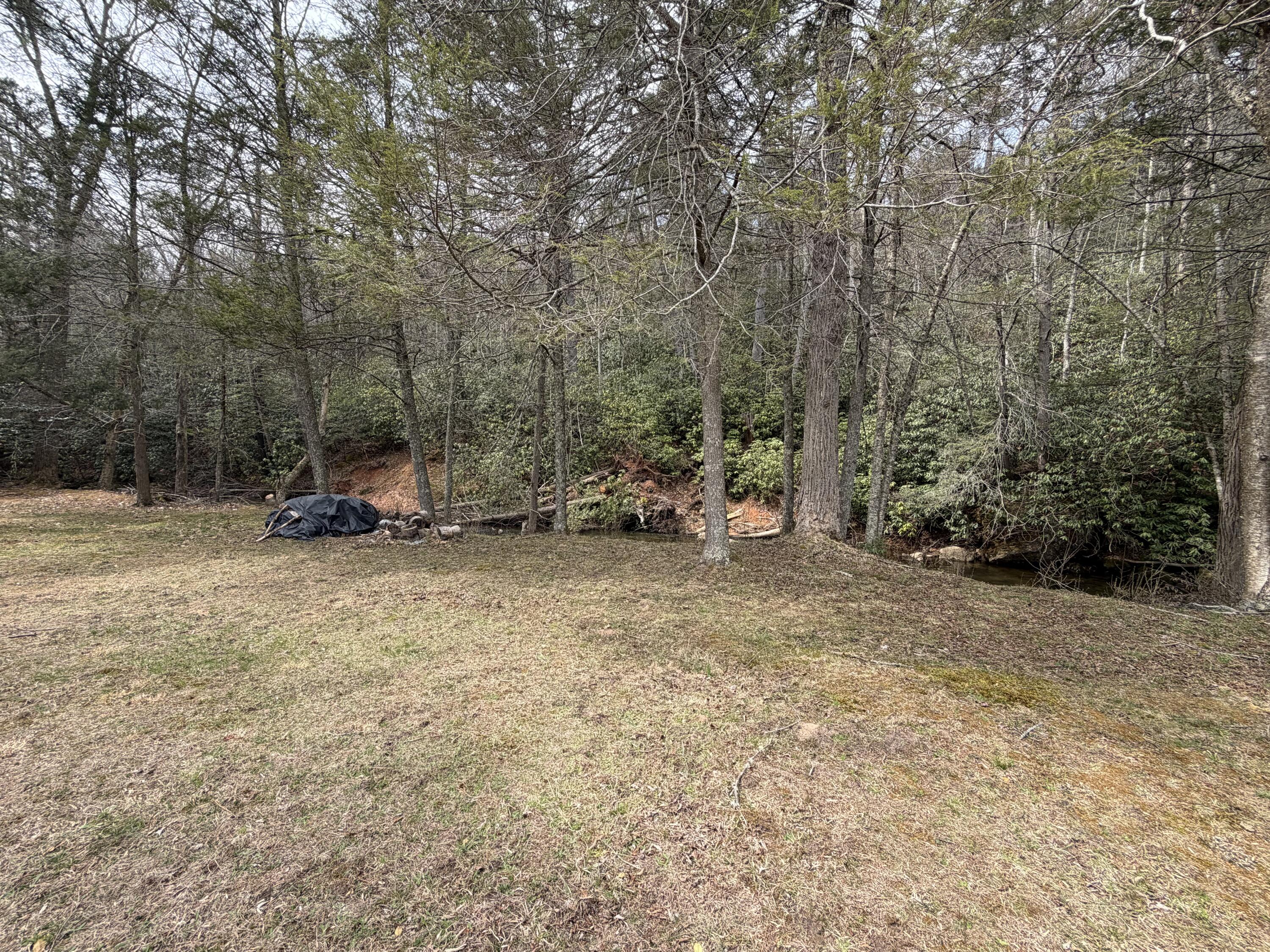 134-138 Sportsman Circle Ripplemead, VA 24150 - Photo 9 of 23 IMG_2186
