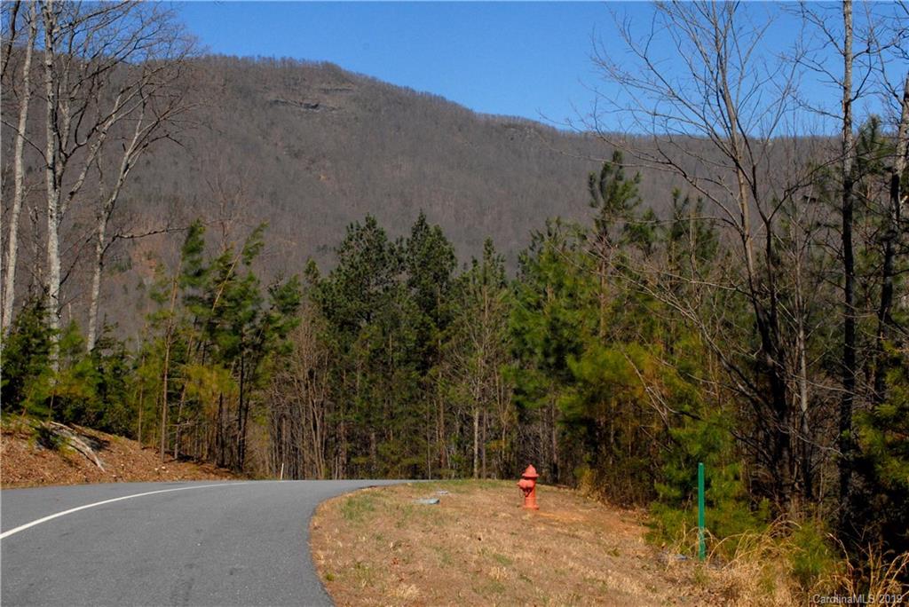 0 Deep Gap Farm Road East, Unit 2027 Mill Spring, NC 28756 - Photo 1 of 7 a view of a backyard with tall trees