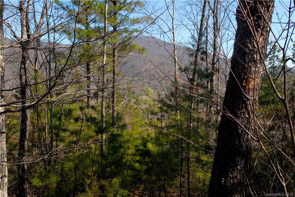0 Deep Gap Farm Road East, Unit 2027 Mill Spring, NC 28756 - Photo 2 of 7 a view of a yard
