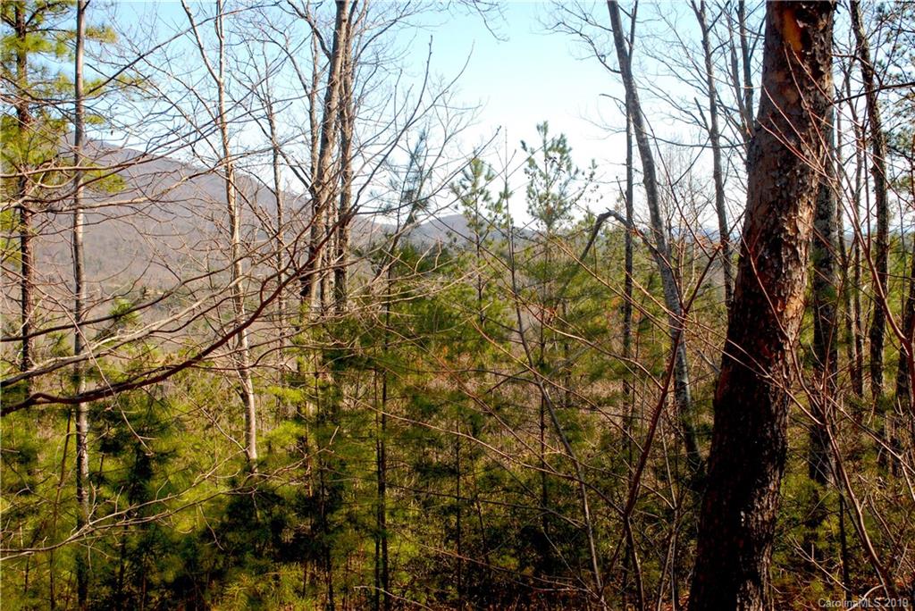 0 Deep Gap Farm Road East, Unit 2027 Mill Spring, NC 28756 - Photo 3 of 7 a view of a yard