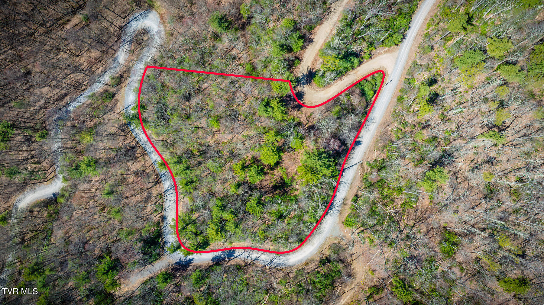 401 Chestnut Circle Butler, TN 37640 - Photo 3 of 17 Lot54Red