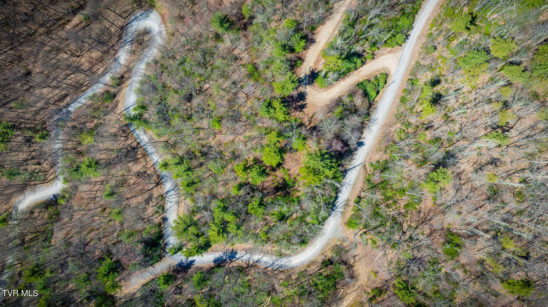 401 Chestnut Circle Butler, TN 37640 - Photo 5 of 17 003