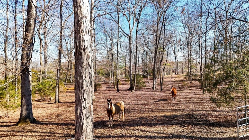 5981 Blacks Bluff Road Southwest Cave Spring, GA 30124 - Photo 28 of 60