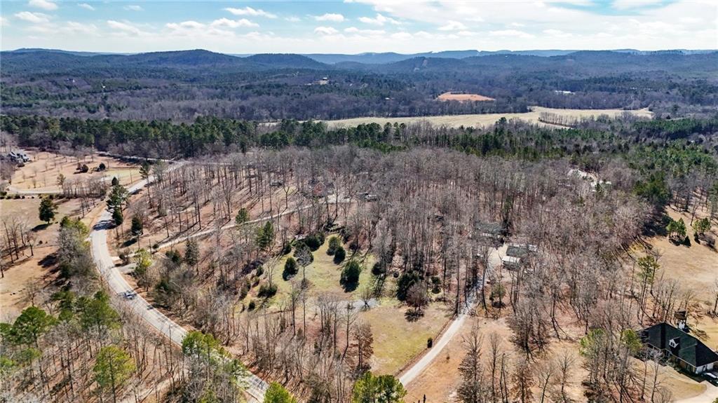 5981 Blacks Bluff Road Southwest Cave Spring, GA 30124 - Photo 55 of 60