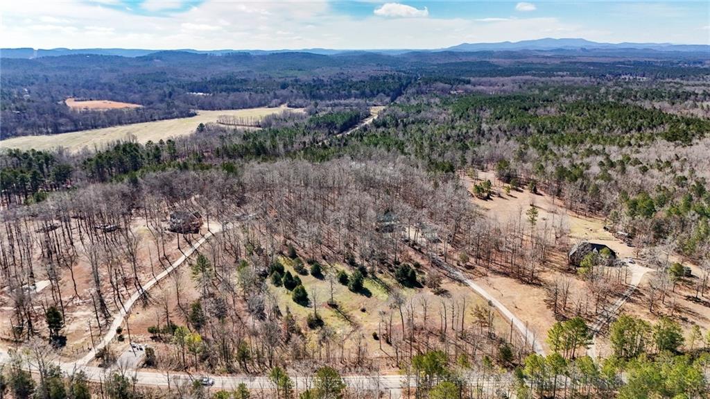 5981 Blacks Bluff Road Southwest Cave Spring, GA 30124 - Photo 59 of 60