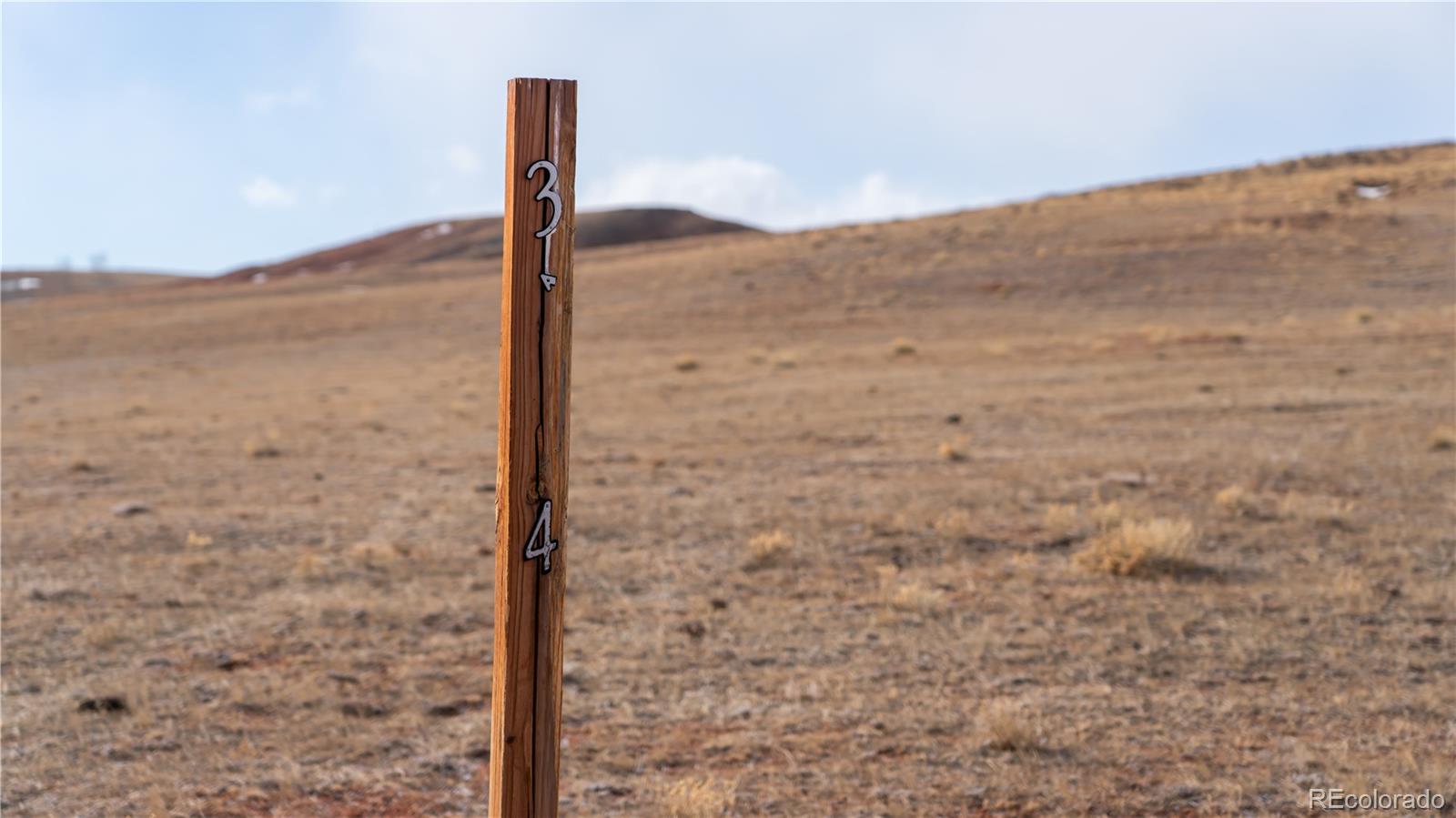 3164 Meier Rdg Trail Fairplay, CO 80440 - Photo 3 of 18