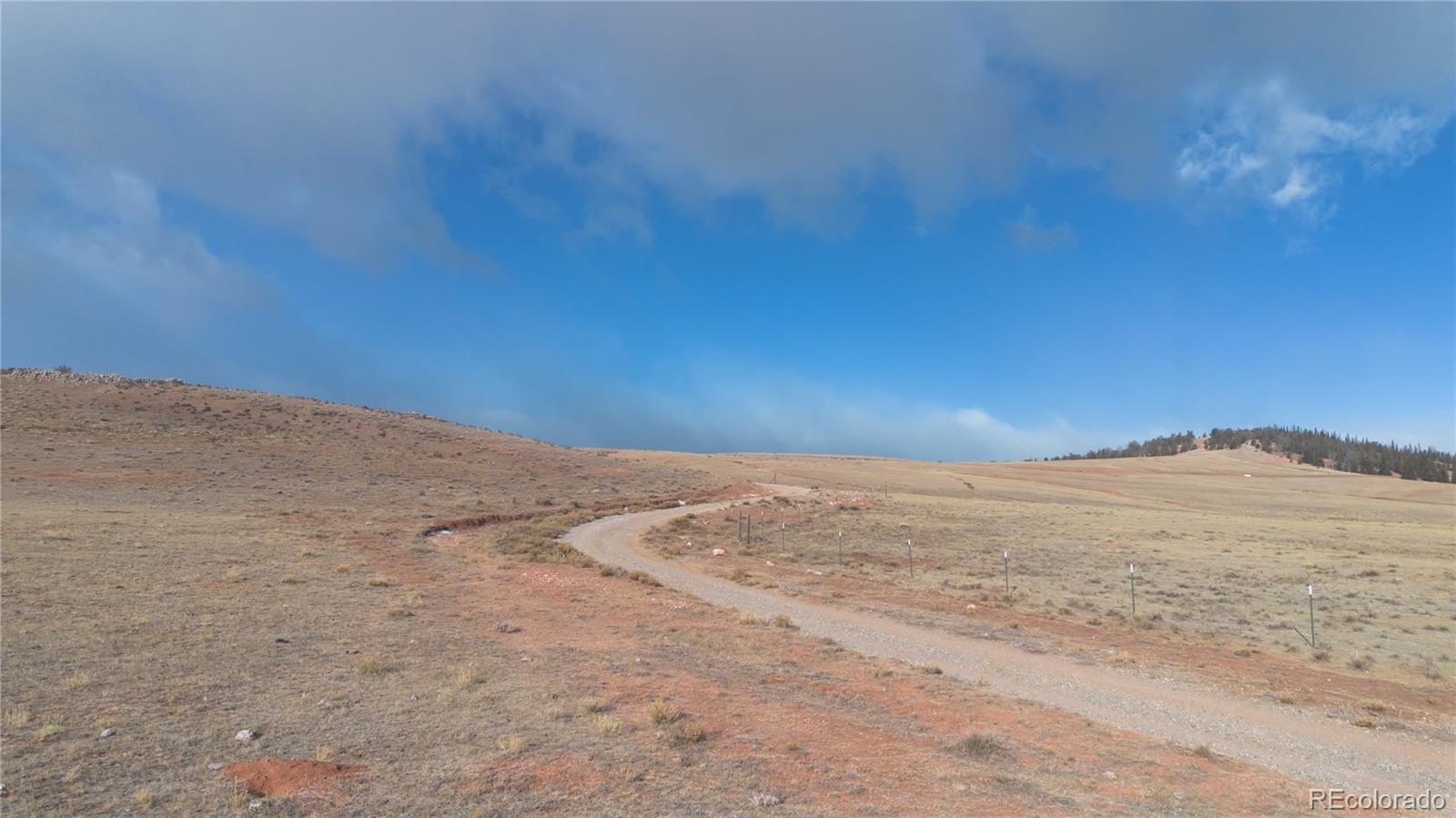 3164 Meier Rdg Trail Fairplay, CO 80440 - Photo 4 of 18