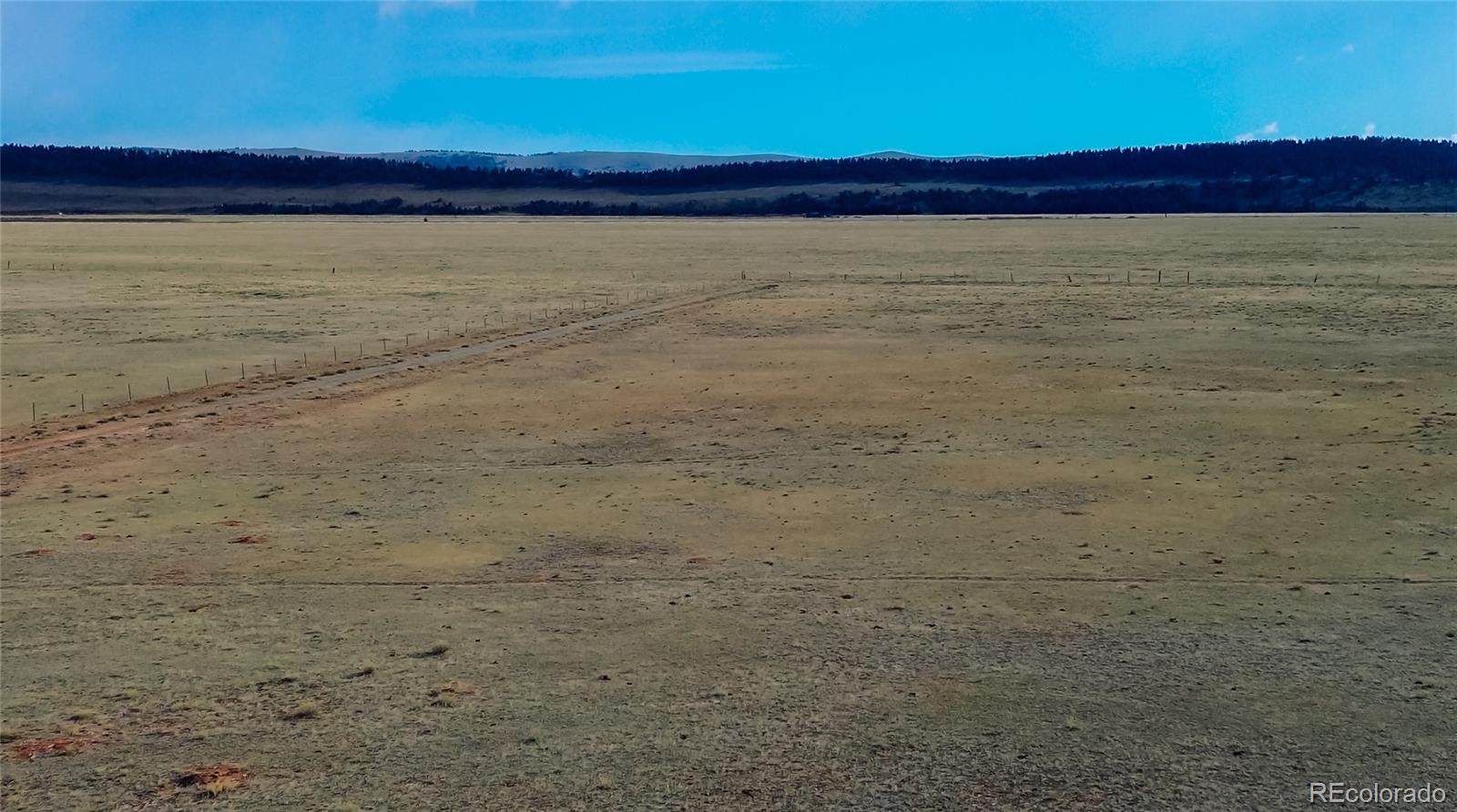 3164 Meier Rdg Trail Fairplay, CO 80440 - Photo 7 of 18