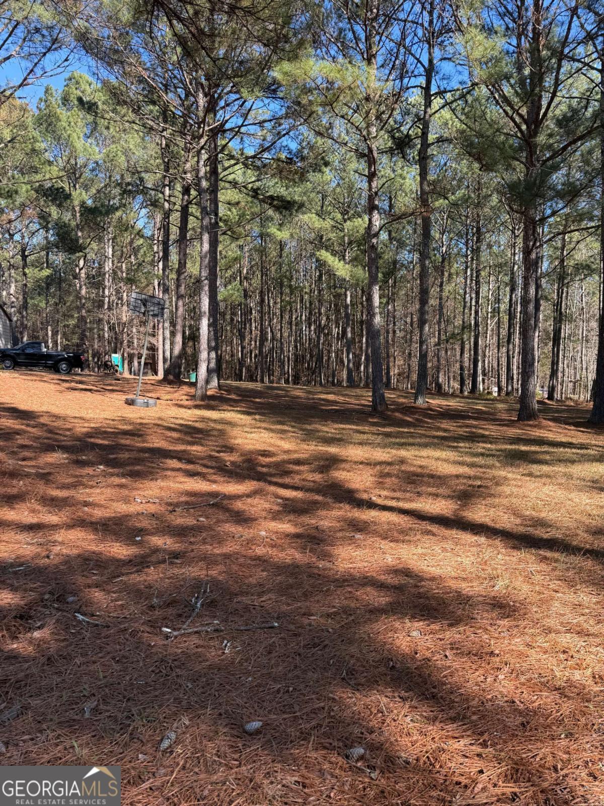 670 Jefferies Road Shady Dale, GA 31085 - Photo 6 of 29 a view of road and trees
