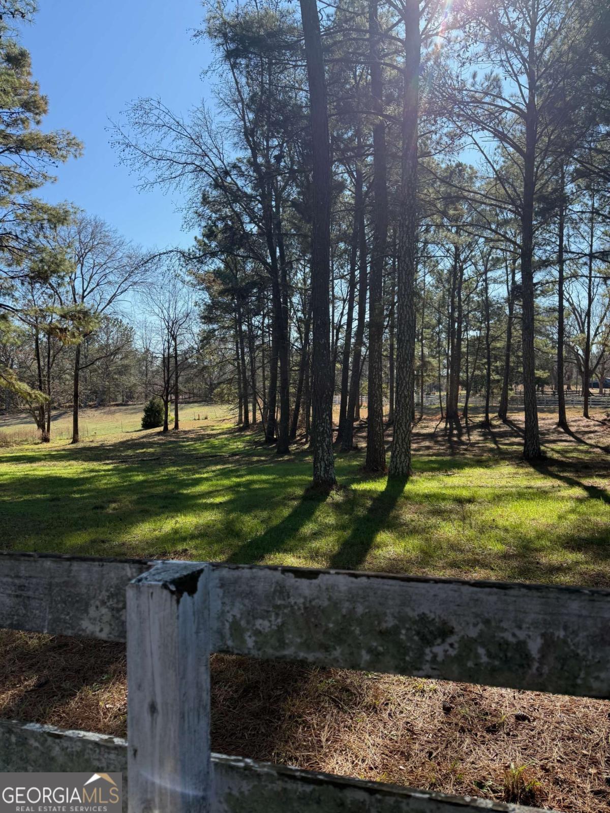 670 Jefferies Road Shady Dale, GA 31085 - Photo 9 of 29 a view of a park with tree s