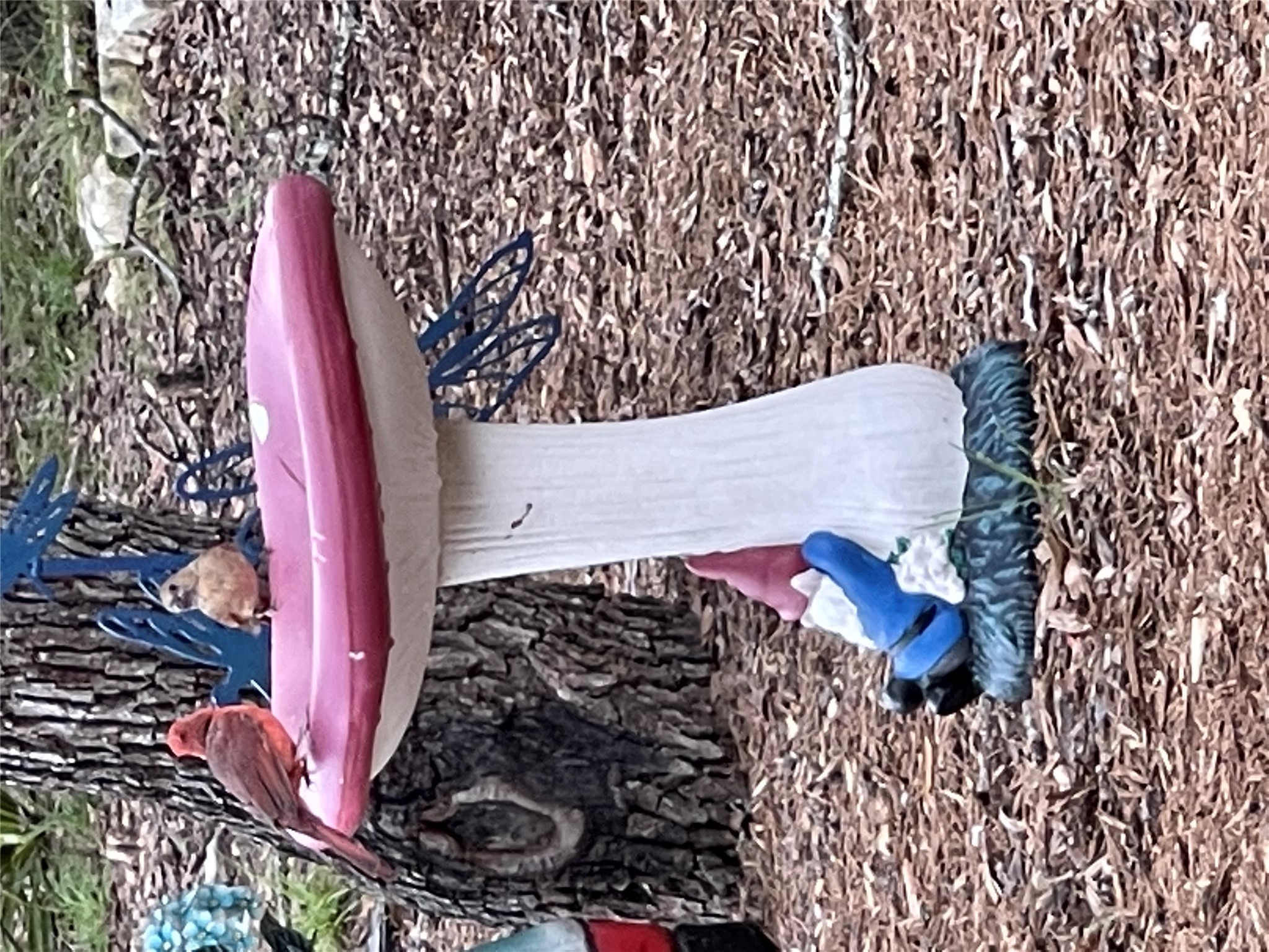 13326 Trautwein Road Austin, TX 78737 - Photo 32 of 40