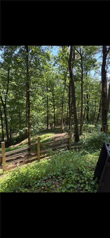 388 River Shoals Road Dawsonville, GA 30534 - Photo 11 of 15