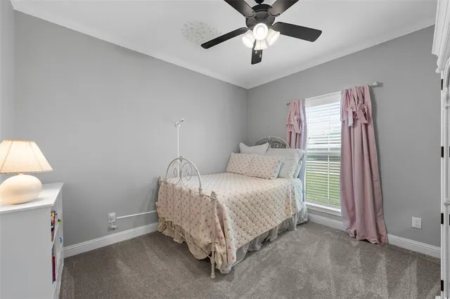 a bed room with a bed and a ceiling fan