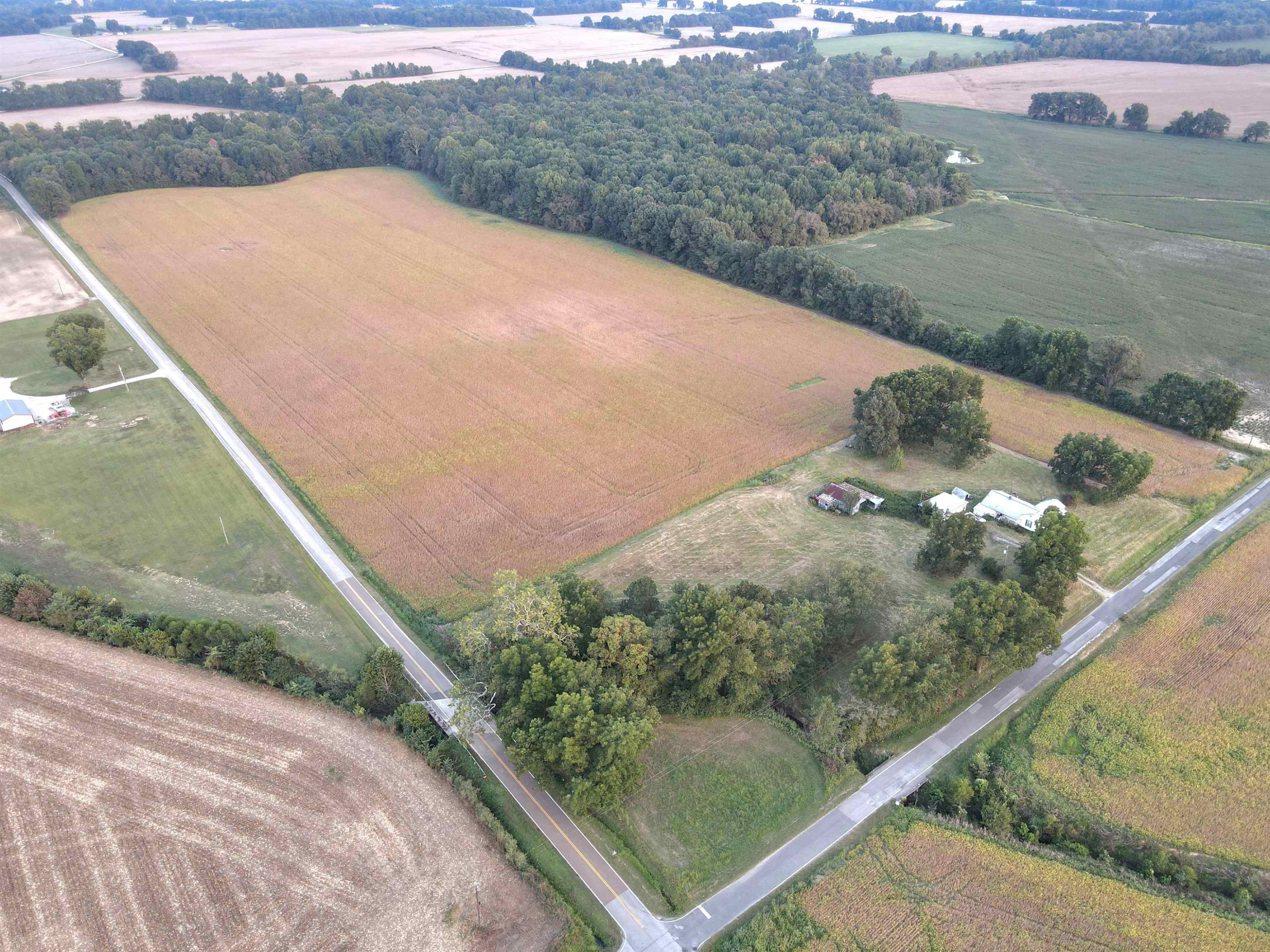 87 Barbeque Road Humboldt, TN 38343 - Photo 1 of 15 Photo 1