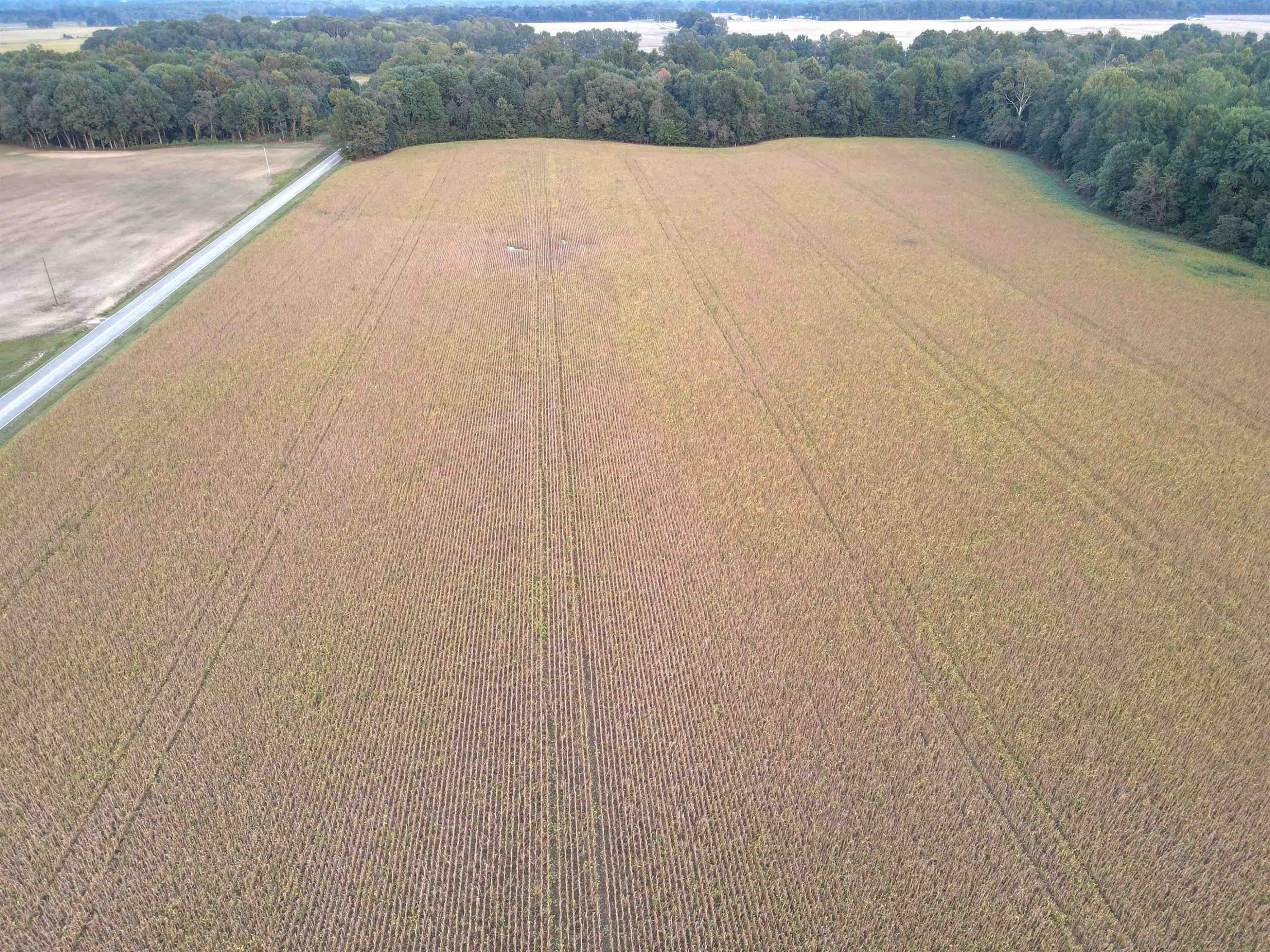 87 Barbeque Road Humboldt, TN 38343 - Photo 13 of 15 Photo 13