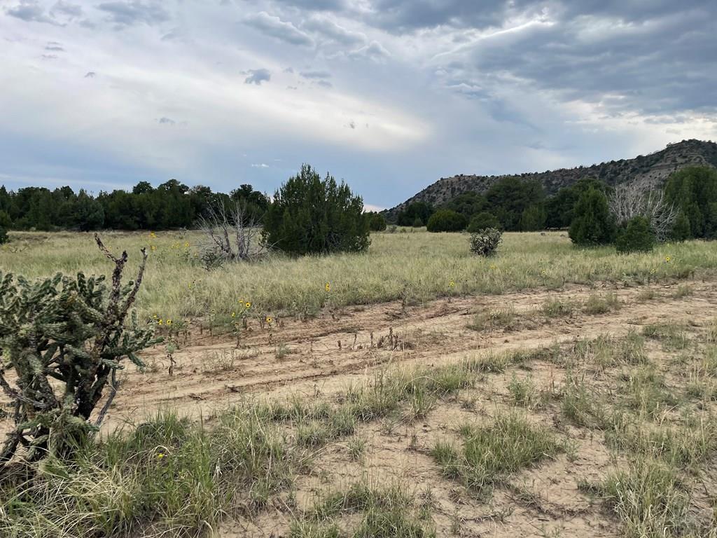 Tbd(#93 Rancho Verde Road Trinidad, CO 81082 - Photo 18 of 20 Gallery Image 18