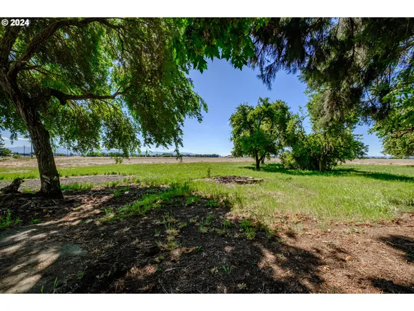 $1,475,000 | 28766 Highway 36, Junction City, OR 97448