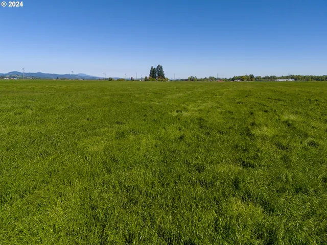a view of a big yard with a house in the background