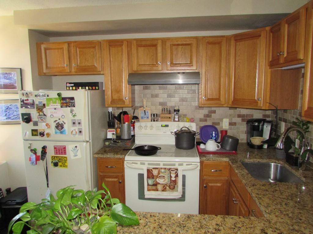 140 Chestnut Street, Unit M3 Springfield, MA 01103 - Photo 2 of 5