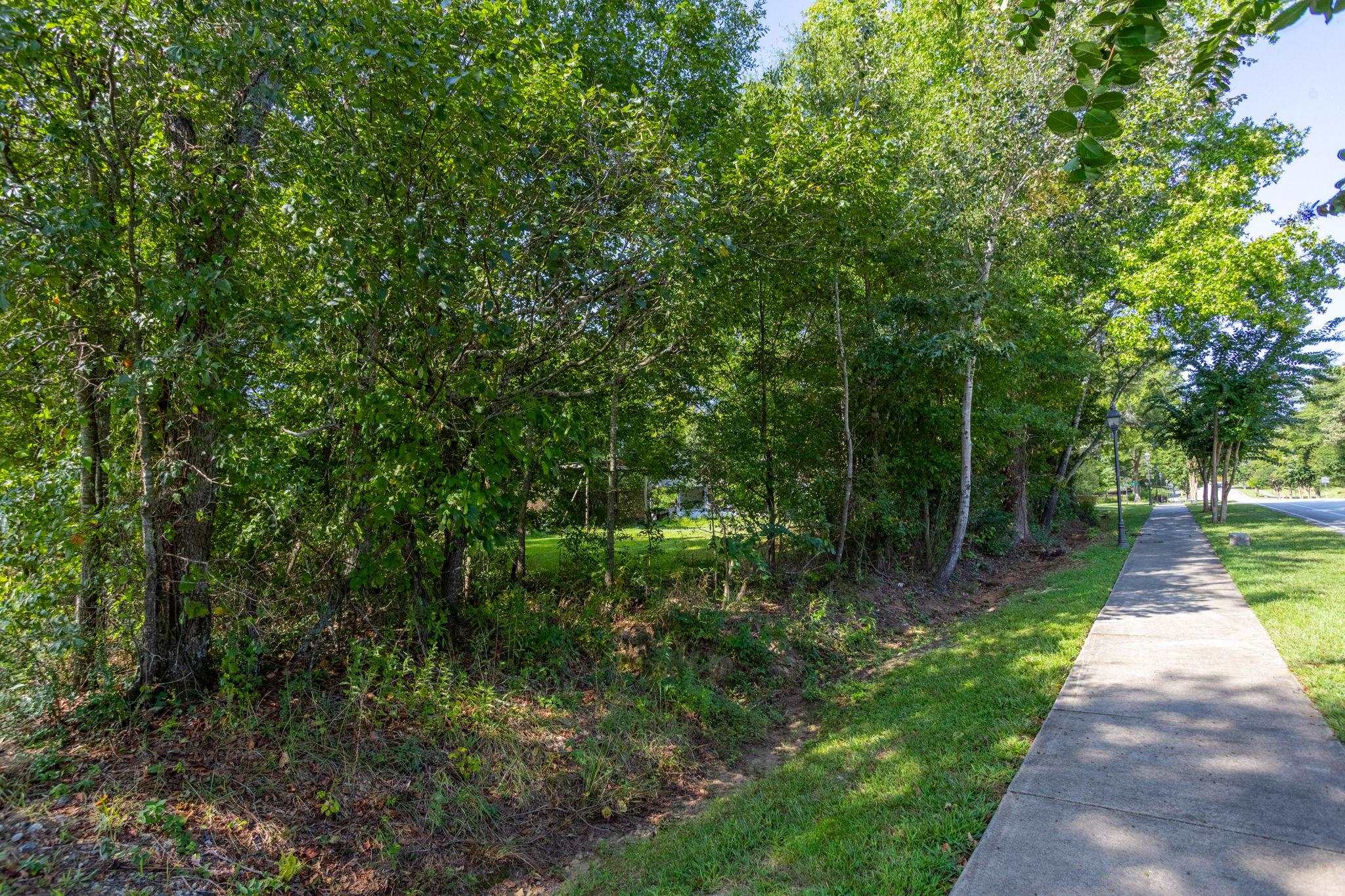0 Chestnut Street Woodruff, SC 29388 - Photo 3 of 8 Gallery Image 3
