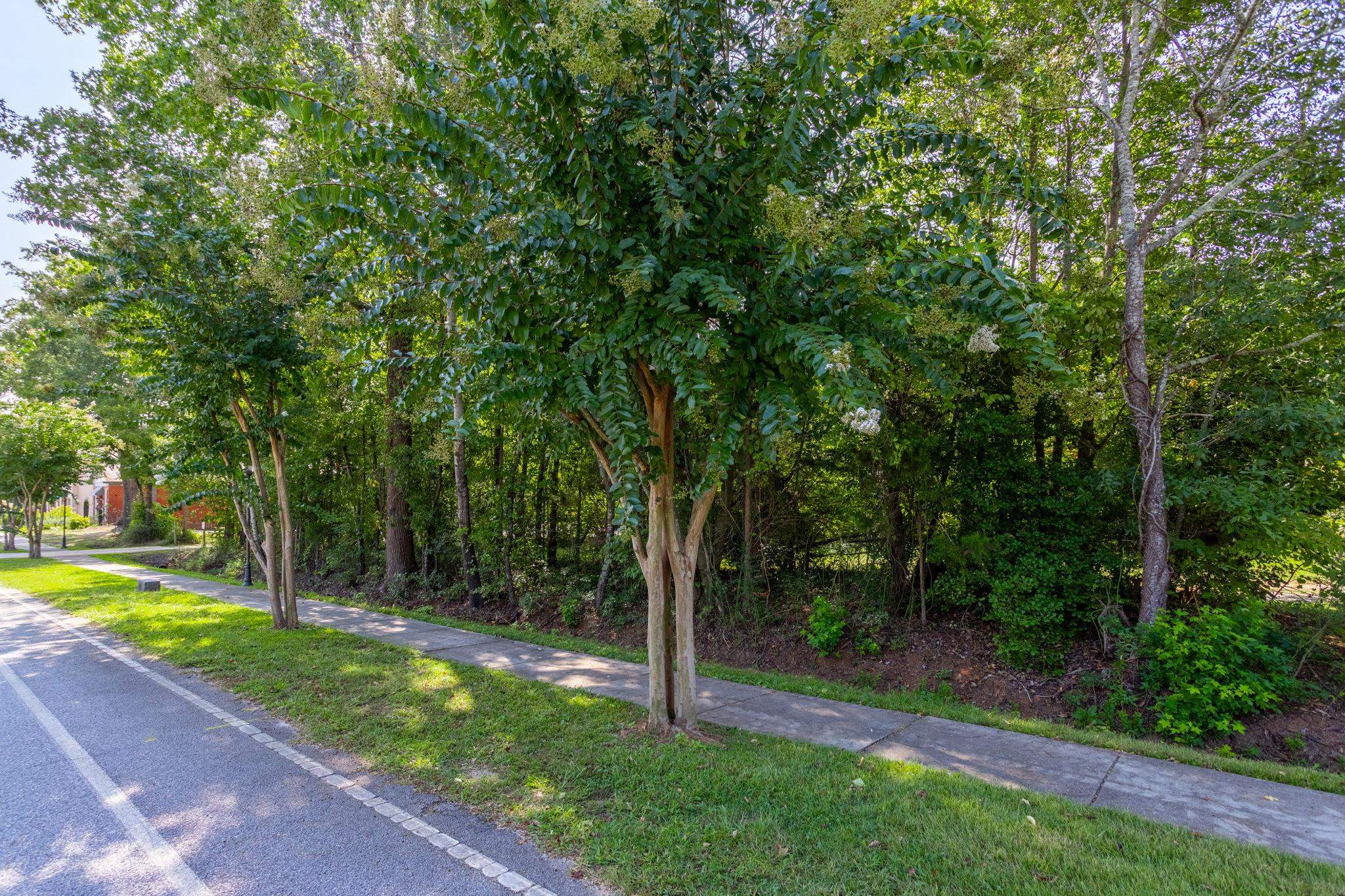 0 Chestnut Street Woodruff, SC 29388 - Photo 4 of 8 Gallery Image 4