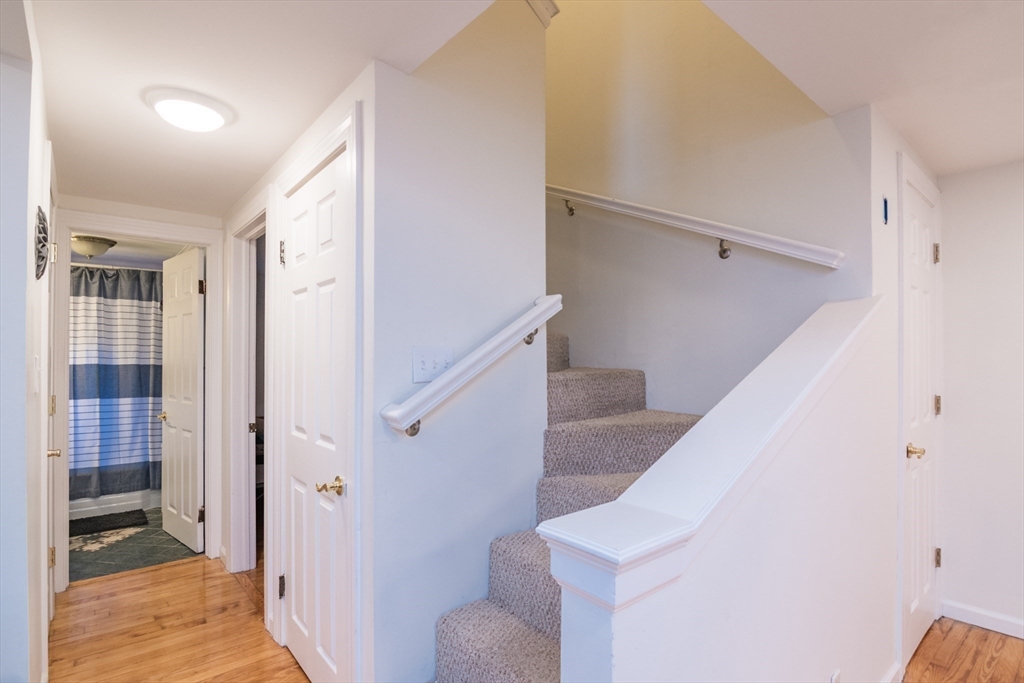95 Benz Street Springfield, MA 01118 - Photo 16 of 23 Gallery Image 16