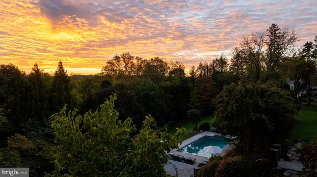 a view of a backyard with plants and a garden