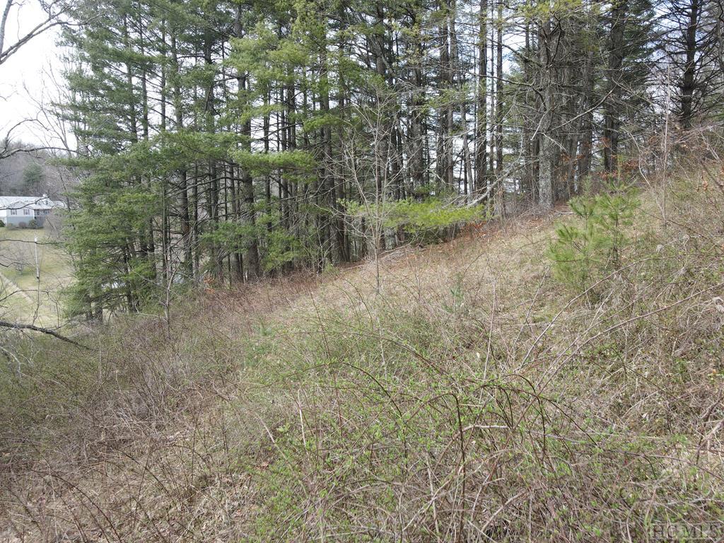 Tbd Pine Creek Road Cullowhee, NC 28723 - Photo 28 of 51 Gallery Image 28