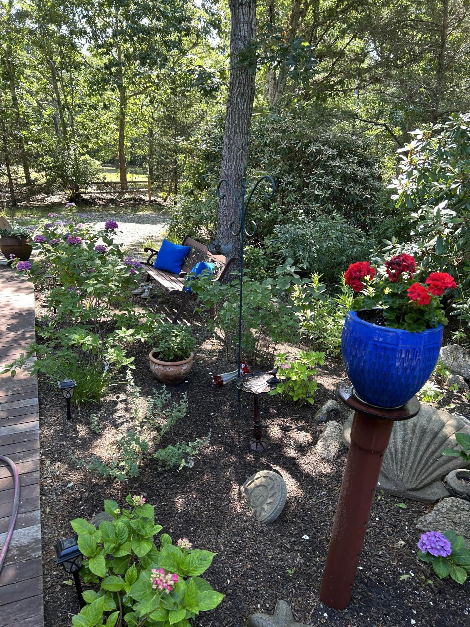 60 Turnip Field Road Eastham, MA 02642 - Photo 45 of 57 a garden view with a seating space