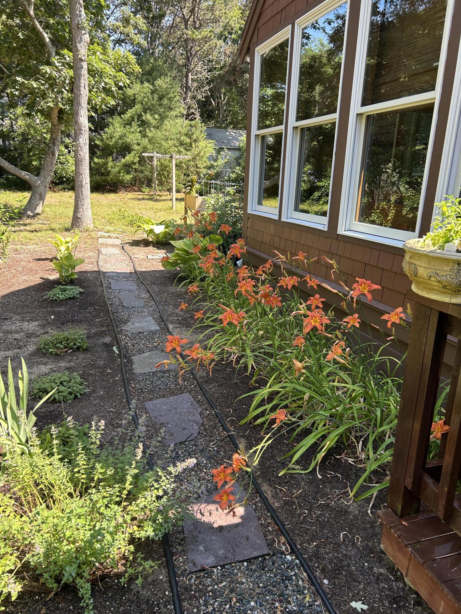 60 Turnip Field Road Eastham, MA 02642 - Photo 47 of 57 a view of a backyard with garden