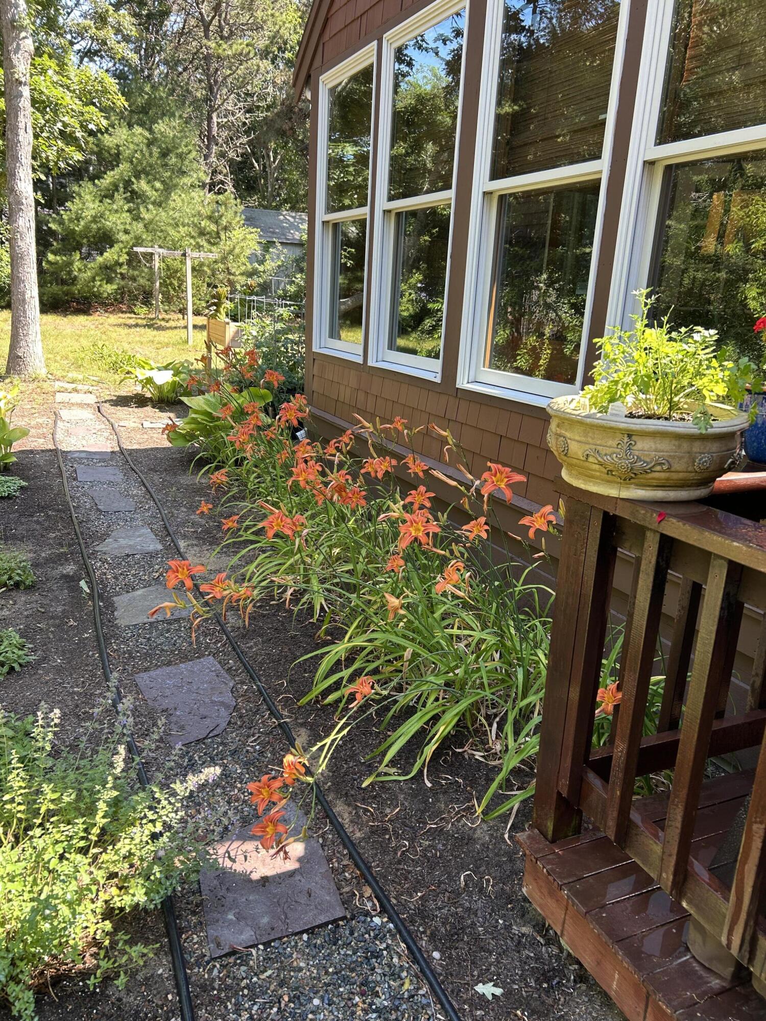 60 Turnip Field Road Eastham, MA 02642 - Photo 54 of 57 IMG_5672