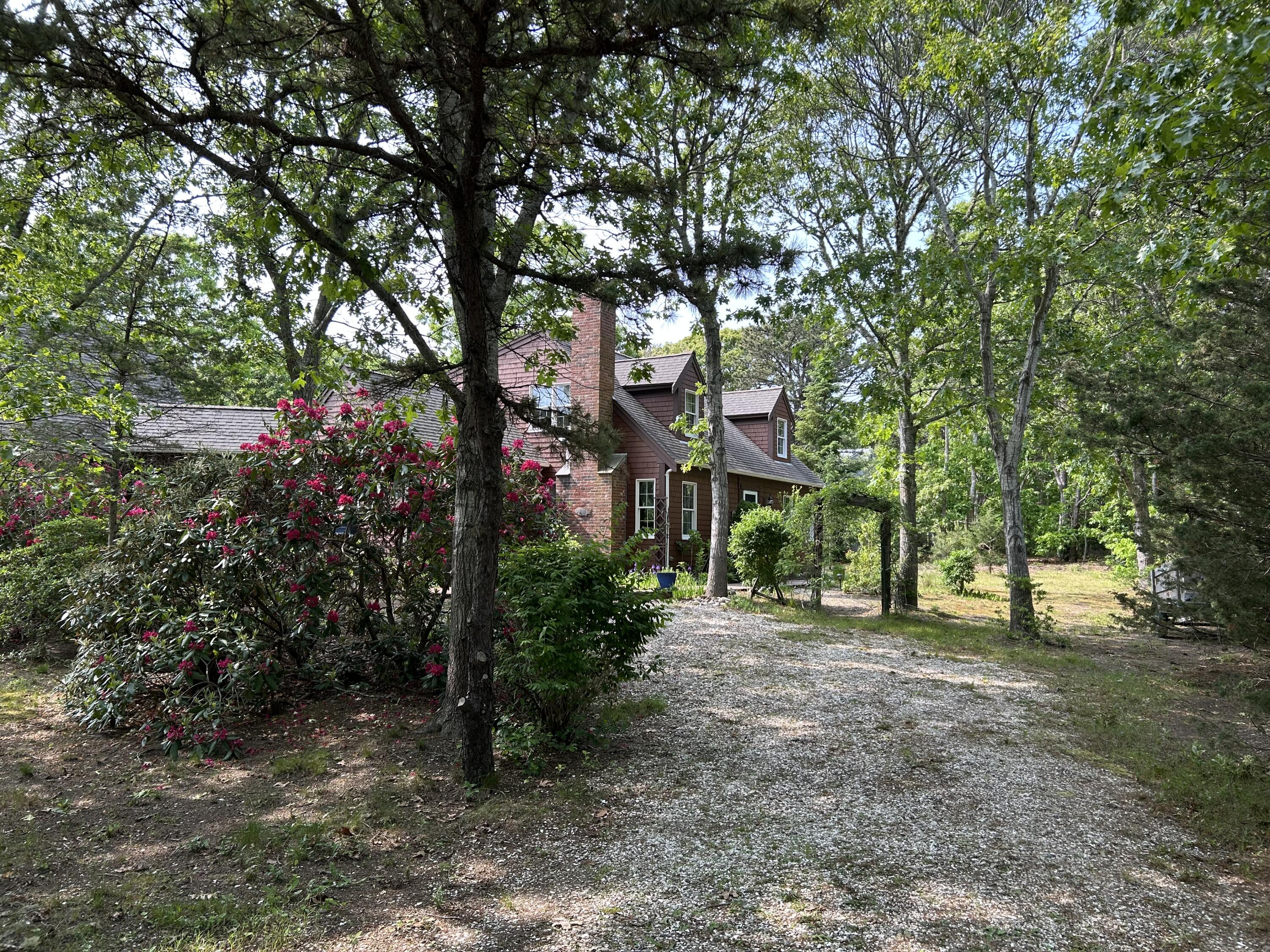 60 Turnip Field Road Eastham, MA 02642 - Photo 55 of 57 a couple of palm trees in front of a house
