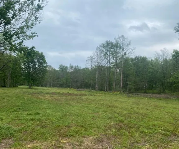 $525,000 | Marina Little River Road, Marksville, LA 71351