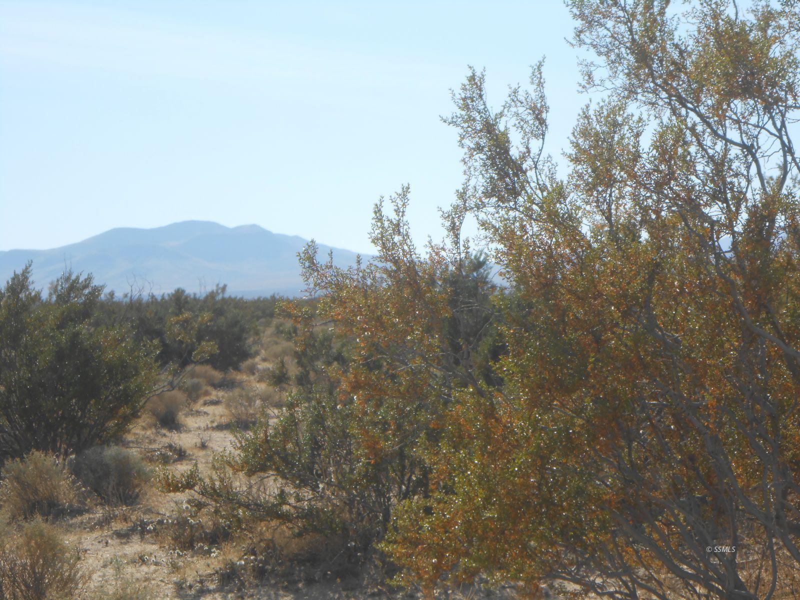 Sierra View Inyokern, CA 93527 - Photo 2 of 6