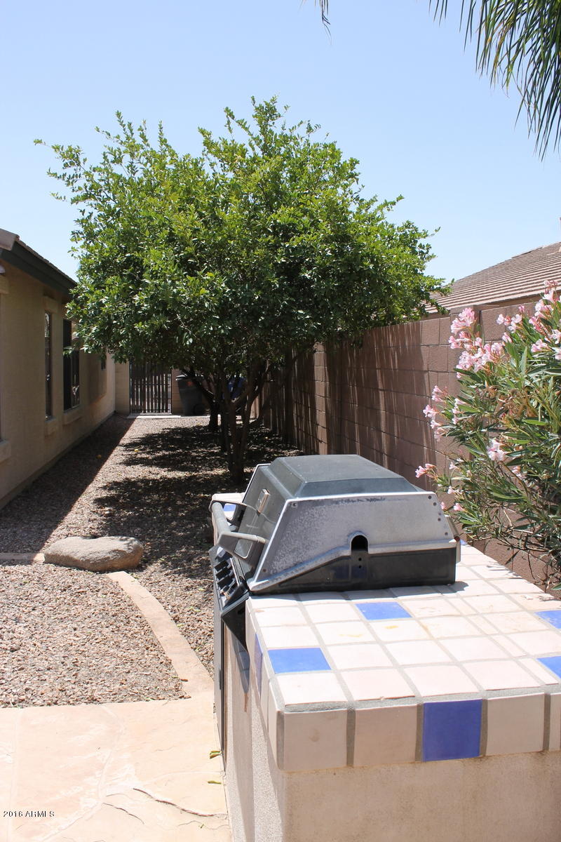 3872 East Simpson Road Gilbert, AZ 85297 - Photo 26 of 32 Side Yard