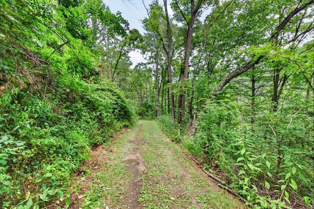 4436 Cedar Springs Road Rural Retreat, VA 24368 - Photo 22 of 78 Gallery Image 22