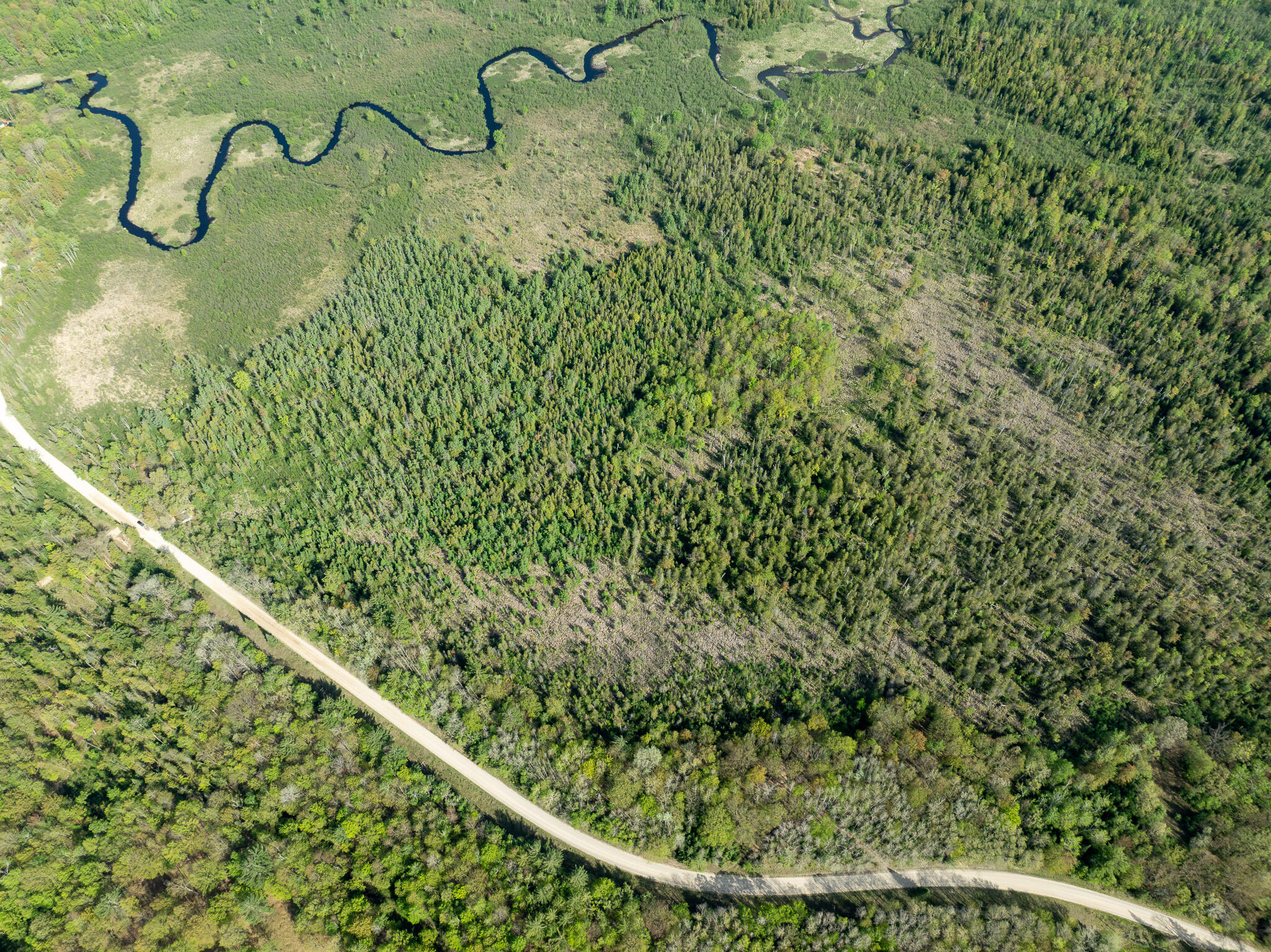 3 3 Mile Road Sears, MI 49679 - Photo 34 of 62 DJI_0332