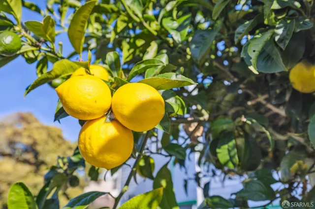 $1,145,000 | 346 Lisbon Street, San Francisco, CA 94112