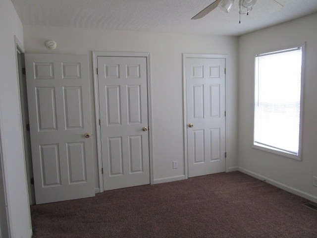 217 Tree Line Drive Oak Grove, KY 42262 - Photo 11 of 13 an empty room with windows