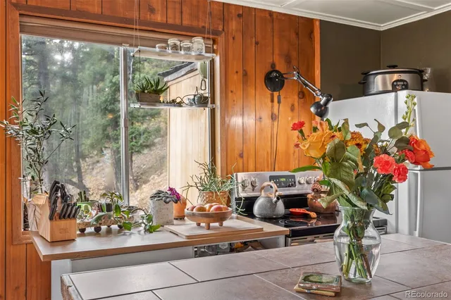 $465,000 | 31327 Kings Valley West, Conifer, CO 80433